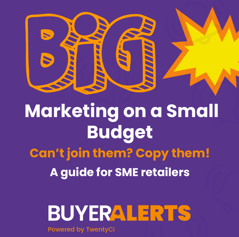 big-marketing-on-a-small-budget-guide-cover